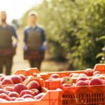 MVO Nederland lanceert collectief natuurlijk eten en drinken: inkopen voor biodiversiteit