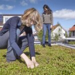 Provincie Utrecht lanceert tool voor aanleg duurzame daken